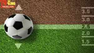 Khái Niệm Và Luật Chơi Tài Xỉu 2 Trái