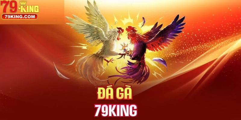 Cách Truy Cập Và Sử Dụng Đá Gà 79KING